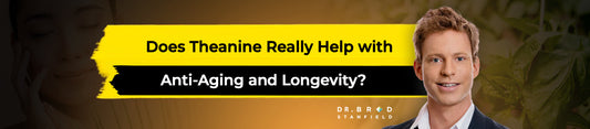 Does Theanine Really Help with Anti-Aging and Longevity?