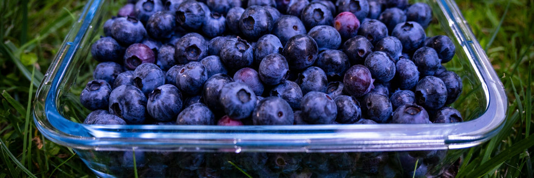 Bilberry: Benefits, Forms, Dosing, and Side Effects