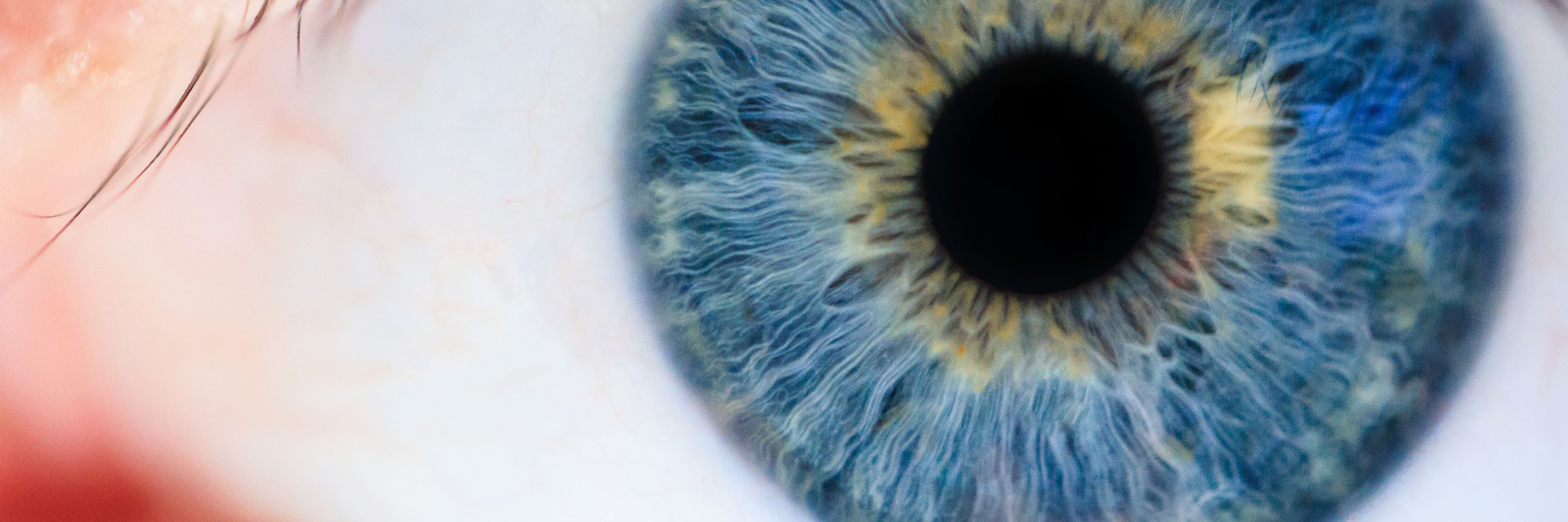 David Sinclair Says Popular Peptide Causes Blindness