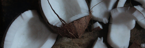 Coconut Oil and MCT Oil: Benefits, Forms, Dosing, and Side Effects