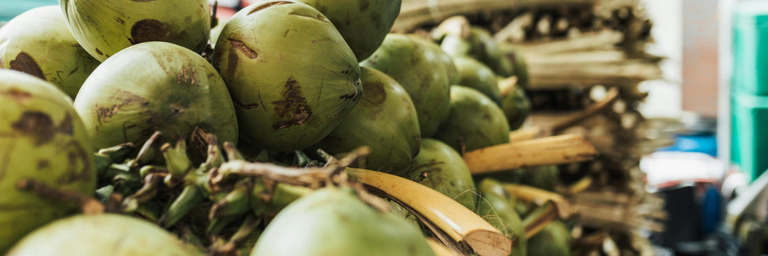 Coconut Water: Benefits, Nutrition, Hydration, and Side Effects