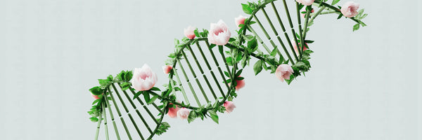 Did One Tiny Tweak Just Solve Heart Disease?