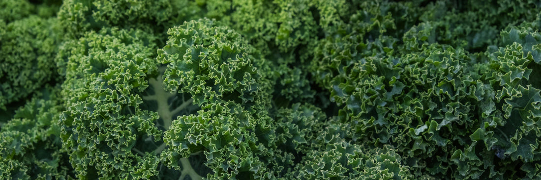 Lutein and Zeaxanthin: Benefits, Forms, Dosing, and Side Effects