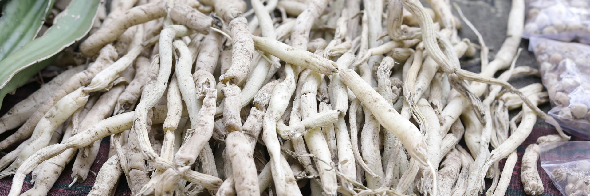 Maca: Benefits, Forms, Dosing, and Side Effects  Dr Brad Stanfield
