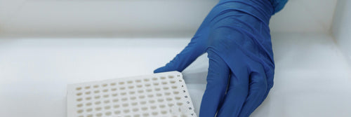 The Grad Student Who Broke Microplastics Research