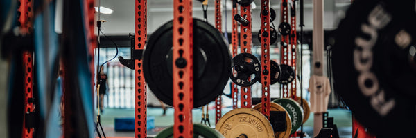 Power Training Is The Most Underrated Exercise for Overall Health & Performance