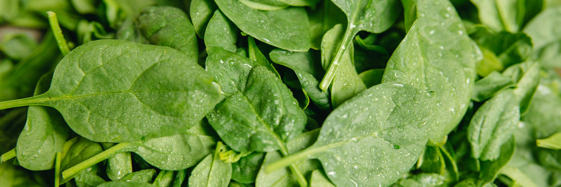 Vitamin K: Benefits, Forms, Dosing, and Side Effects